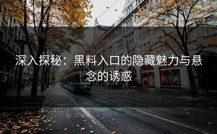 深入探秘：黑料入口的隐藏魅力与悬念的诱惑
