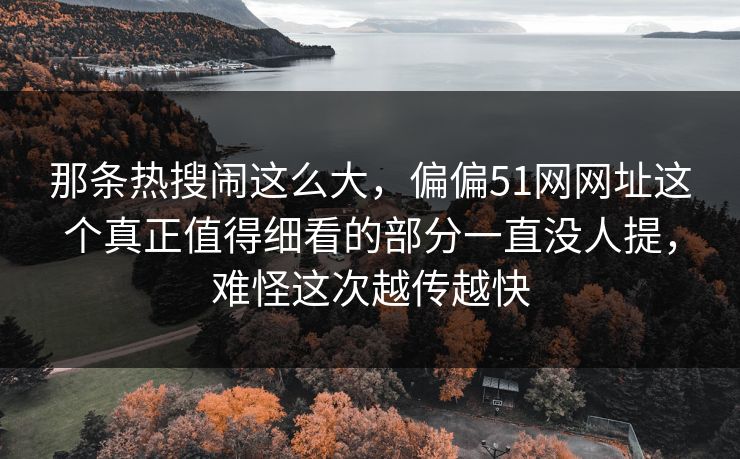 那条热搜闹这么大，偏偏51网网址这个真正值得细看的部分一直没人提，难怪这次越传越快